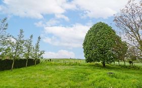 Huswell - Guesthouse In The Heart Of The Flemish Ardennes